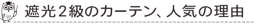 人気の理由
