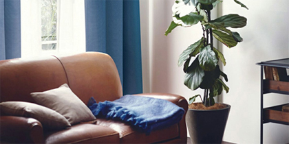 レトロ＆ヴィンテージ