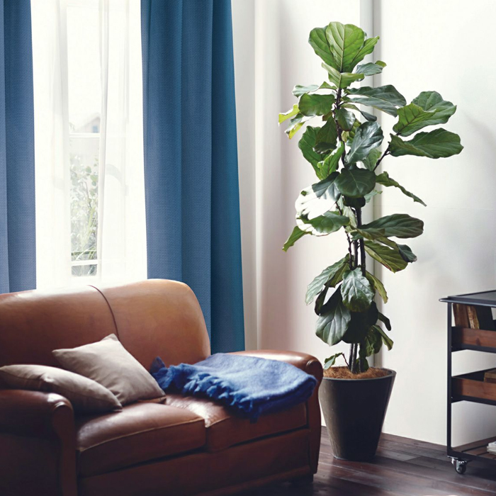 レトロ＆ヴィンテージ