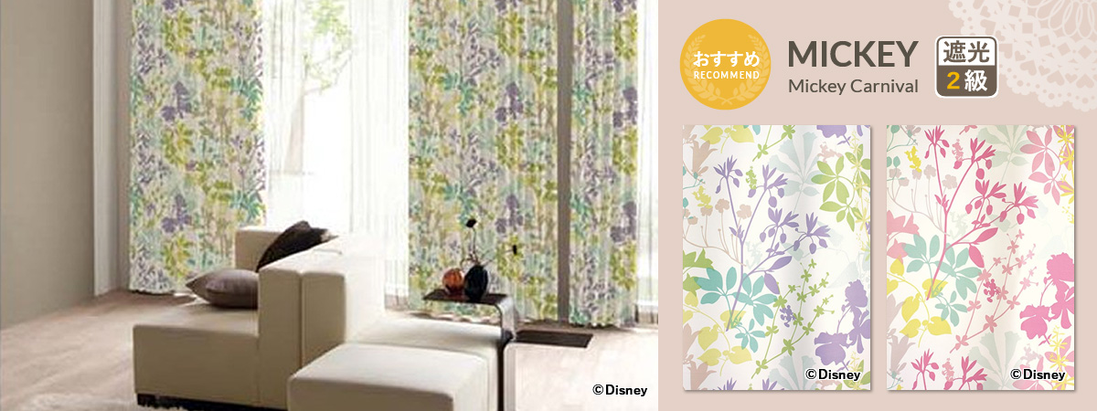 ミッキー カーニバル