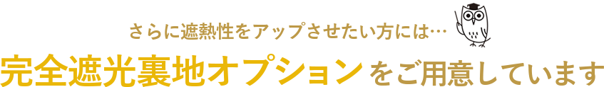 完全遮光オプションをご用意しています
