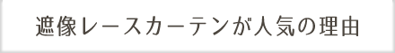 遮像レースカーテンが人気の理由