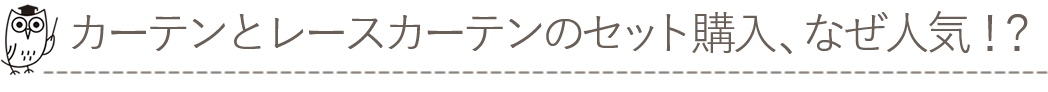 セットと購入、なぜ人気？