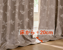 床から+20cm