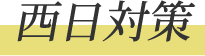 西日対策