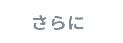 抗カビレースカーテン　L-1218