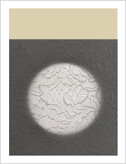 カラー別遮光性