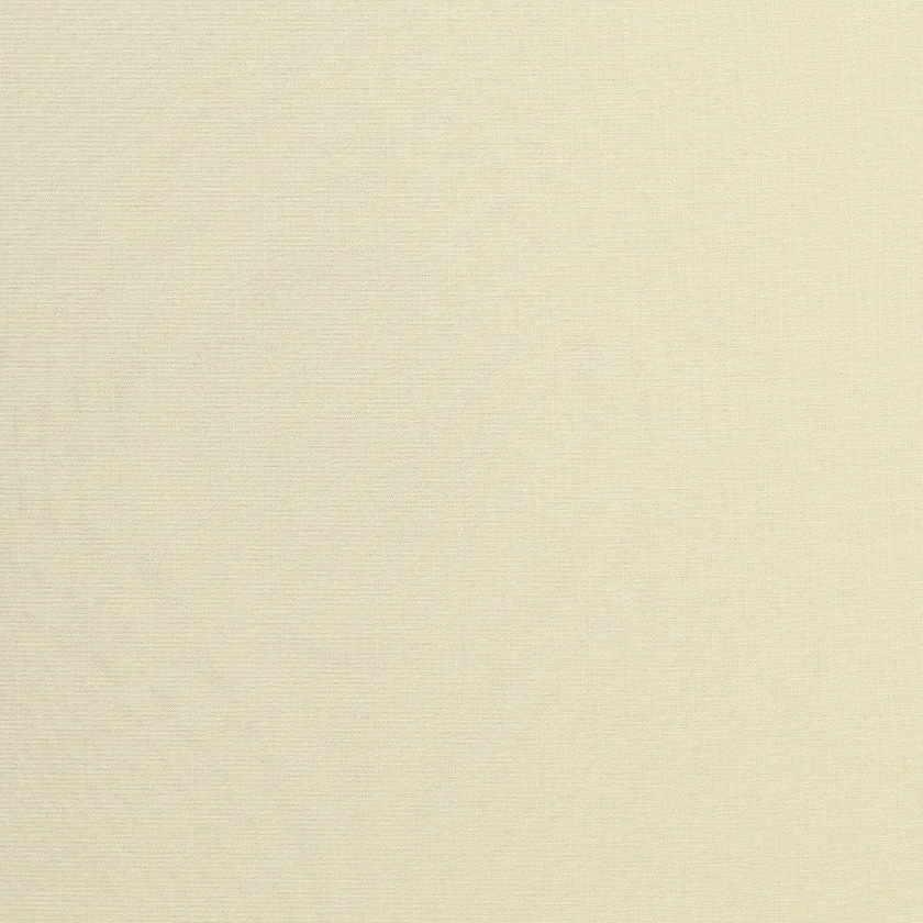 ベージュオークル