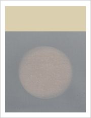 シルバーホワイト