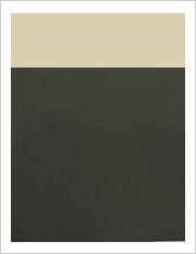 エバーグリーン