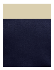 アイアンブルー