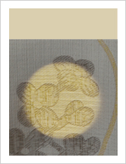 カラー別遮光性