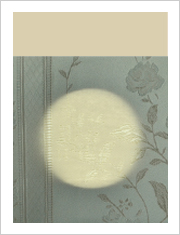 カラー別遮光性